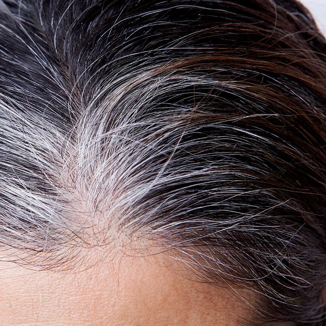 Grey Hair