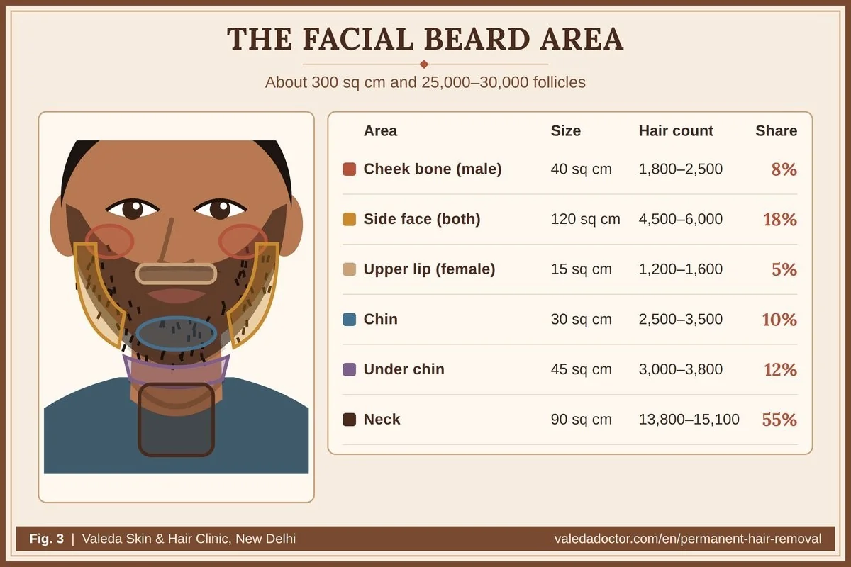 Map of the facial beard areas on an Indian man: cheek bone, side face, upper lip, chin, under chin and neck, with area and hair count for each