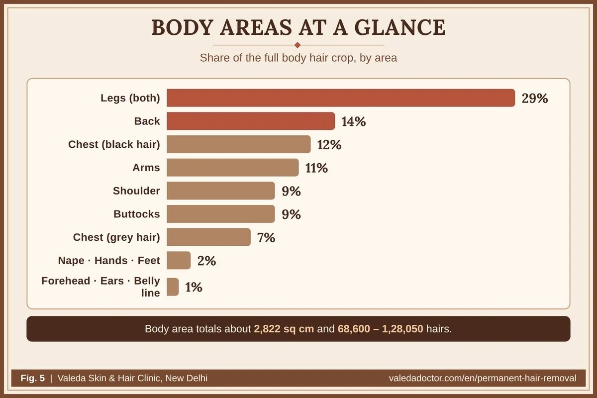 Share of the total body hair crop by area: legs 29%, back 14%, chest black hair 12%, arms 11%, shoulders and buttocks 9% each, chest grey hair 7%