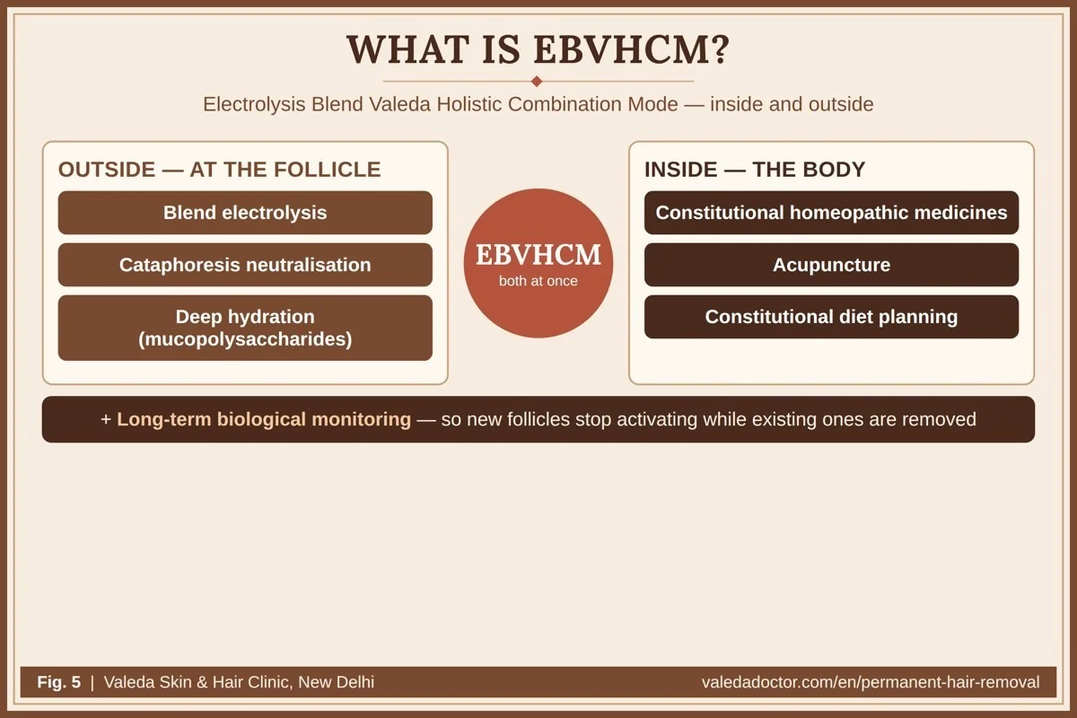 The seven components of EBVHCM working inside and outside: blend electrolysis, constitutional homeopathic medicines, acupuncture, diet planning, deep hydration, cataphoresis neutralisation and long-term monitoring